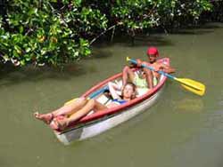 Paddling at Isla Damas UNESCO Mangrove Sanctuary