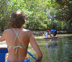 Paddling at Isla Damas UNESCO Mangrove Sanctuary